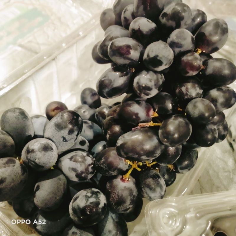 

BUAH ANGGUR HITAM TIDAK ADA BIJI 500GR