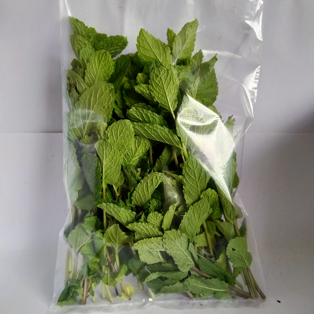 

jual daun mint fresh segar 500gr