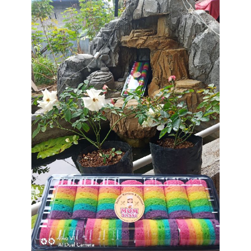 

Miniroll Rainbow Cake's