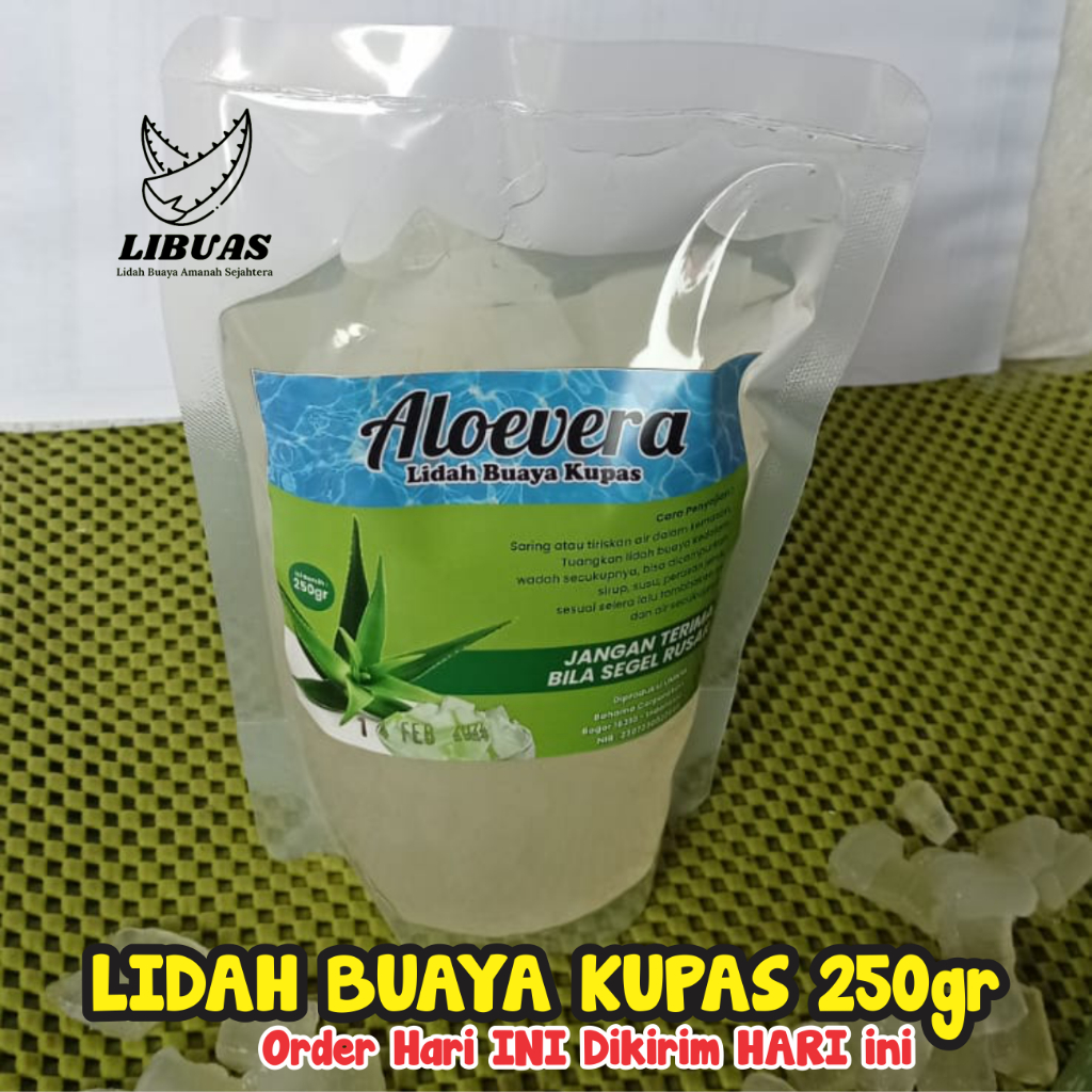 

LIDAH BUAYA KUPAS Pouch 250gr | Aloevera Original | Sari Lidah Buaya | Siap Konsumsi