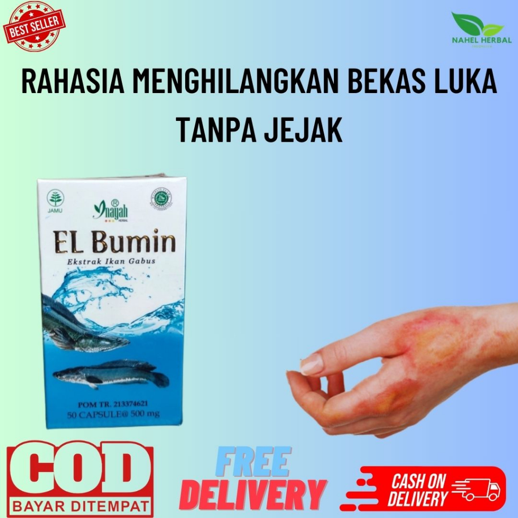 Gratis Ongkir & Cod - Super Premium 60 Kapsul Asli 100% Original Ekstrak El bumin Ikan Gabus - Obat 
