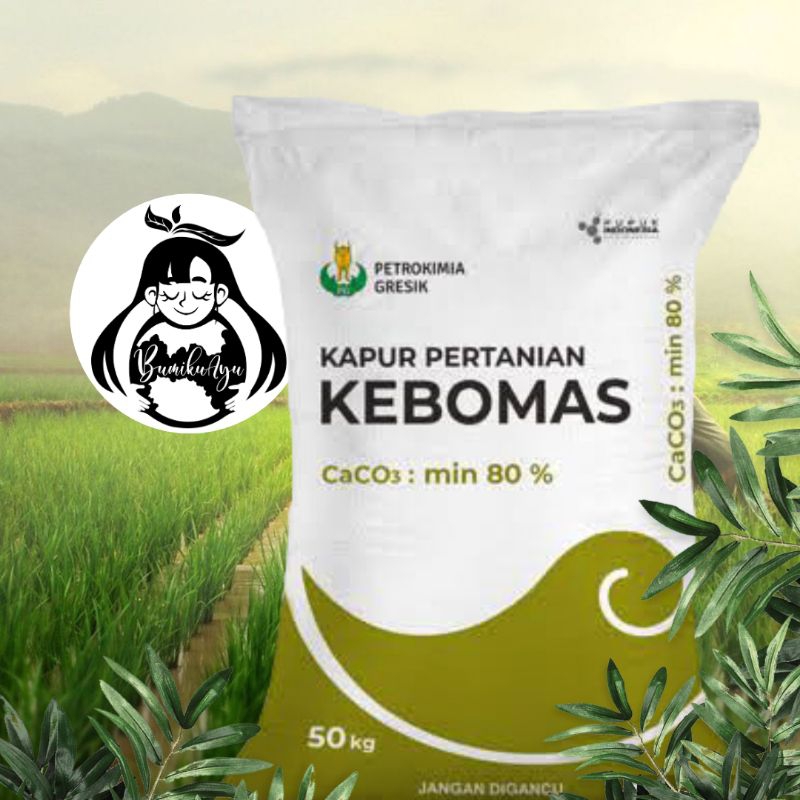 Pupuk Kapur Dolomid KEBOMAS Repack