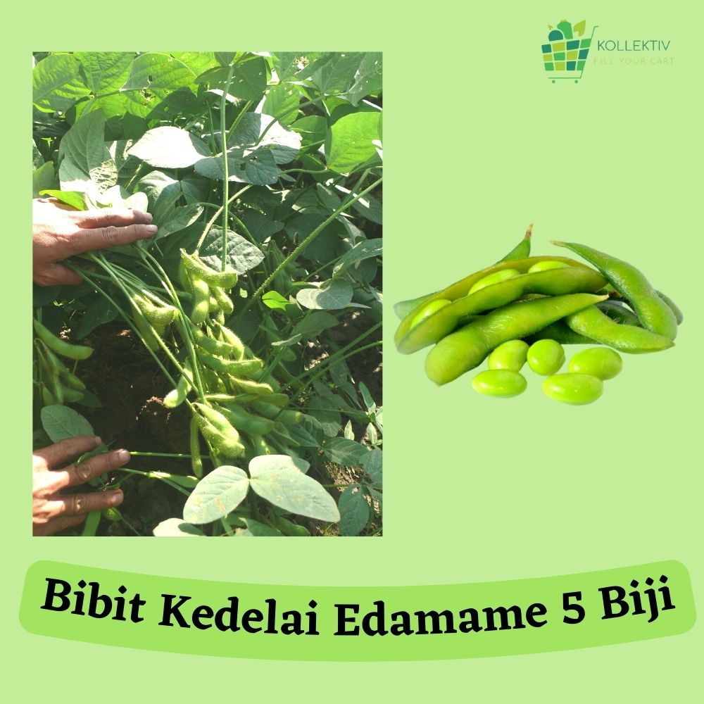 Bibit Kedelai Edamame / Benih Sayuran