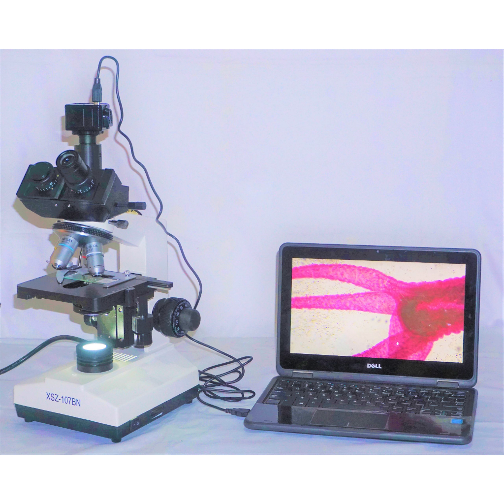 Mikroskop Trinokuler Digital - Kamera 5 Megapixel
