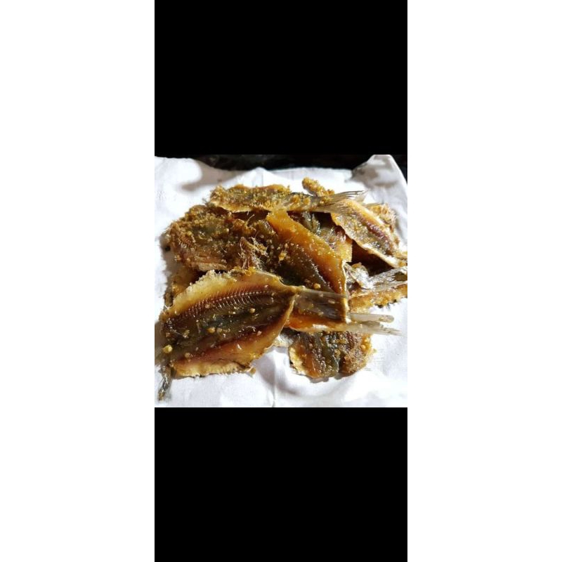 

ikan asin dendeng