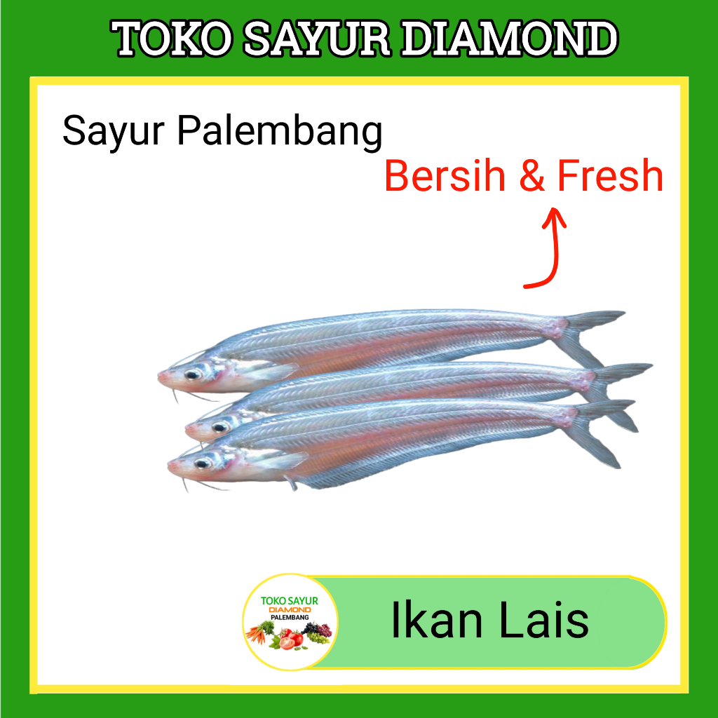 

Ikan Lais Laes - Fresh Palembang