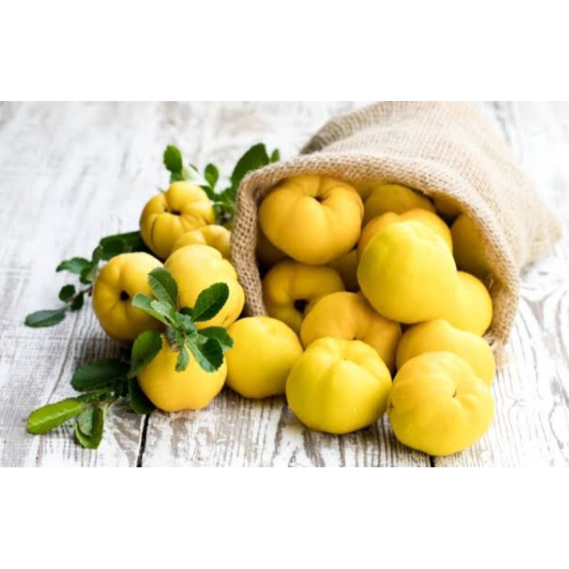

BUAH QUINCE / AYVA / SAFRAJAL TURKI /500gr