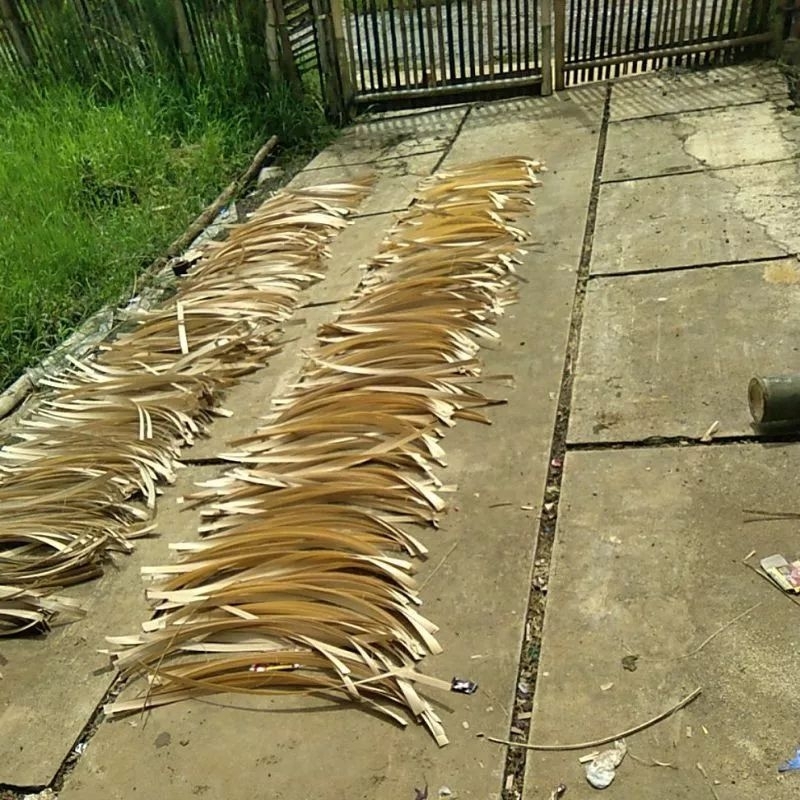 bambu ruwatan sedang