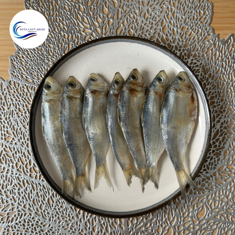 

ikan asin tembang sisik super 1kg