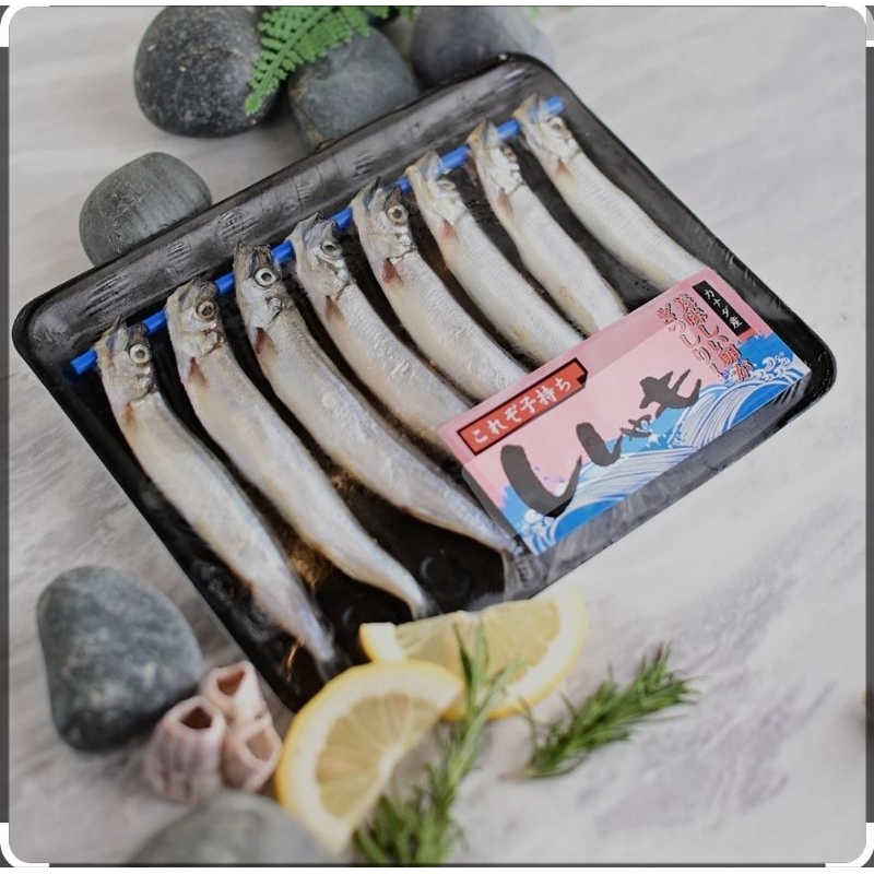 

shisamo fish / ikan capelin