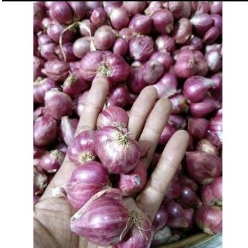 

BAWANG MERAH 1kg