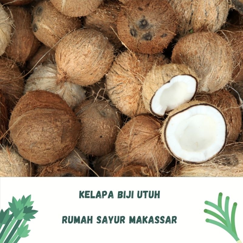 

kelapa biji utuh