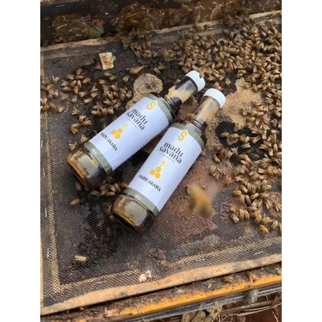

Raw Honey Madu Mentah Madu Murni Akasia