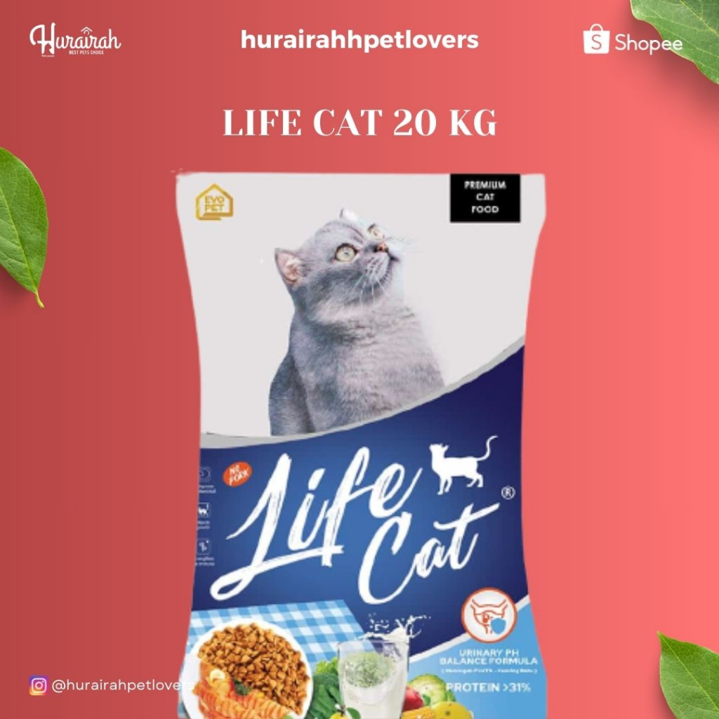 LIFE CAT 20 KG