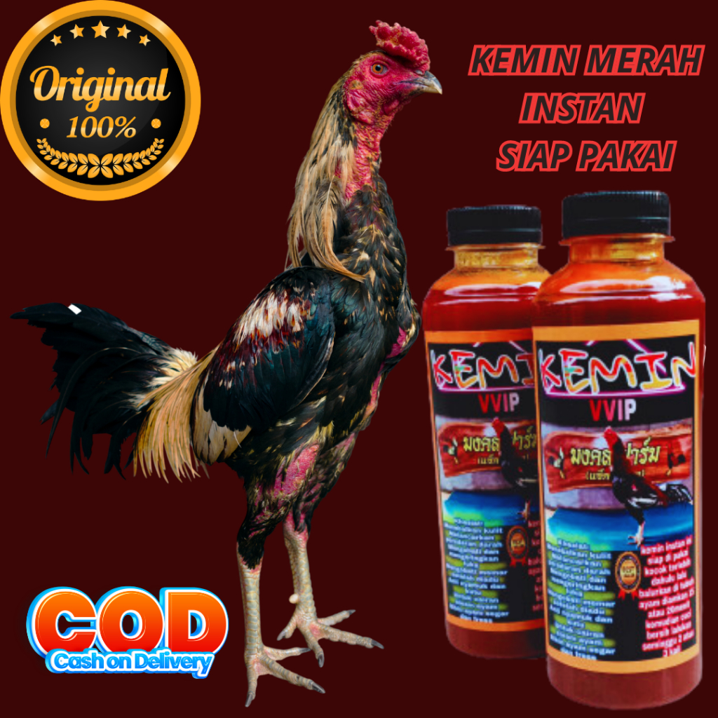 kemin ayam aduan jamu vitamin ayam bangkok ayam laga