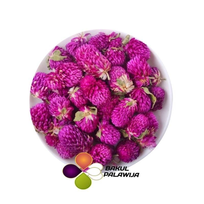 

GLOBE AMARANTH FLOWER TEA TISANE BUNGA KENOP TEH BUNGA PREMIUM HERBAL DETOX FLU BATUK