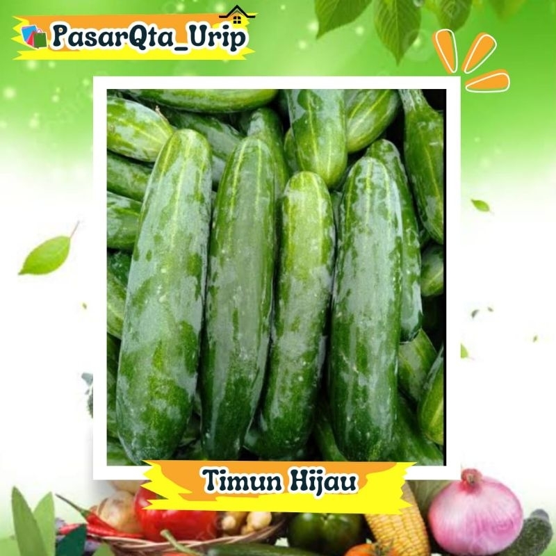 

Timun hijau perbiji / pasar online makassar/ Pasar sayur Makassar