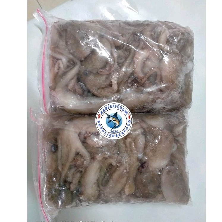 

Baby Gurita 1kg