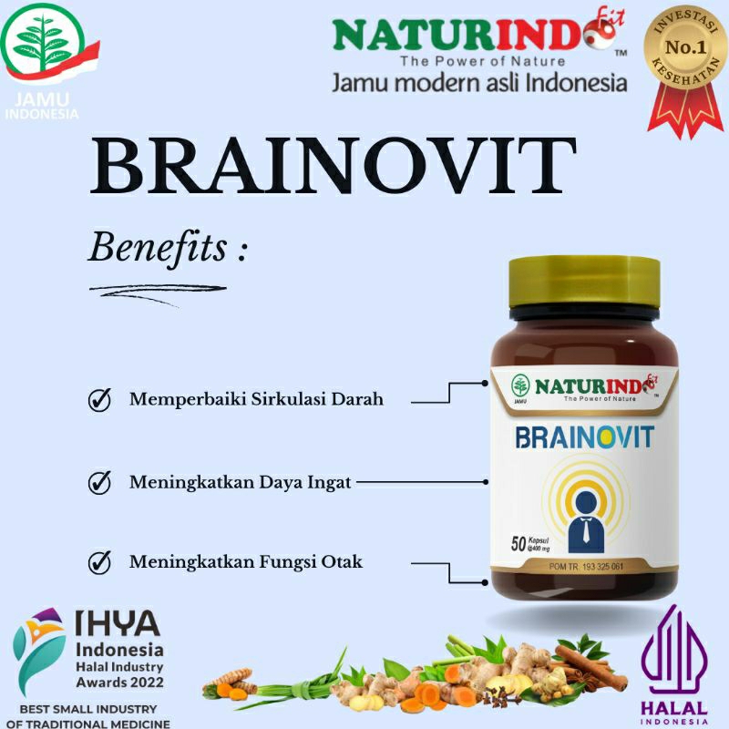 VITAMIN OTAK NUTRISI OTAK OBAT HERBAL MENINGKATKAN DAYA INGAT OTAK BRAINOVIT NATURINDO