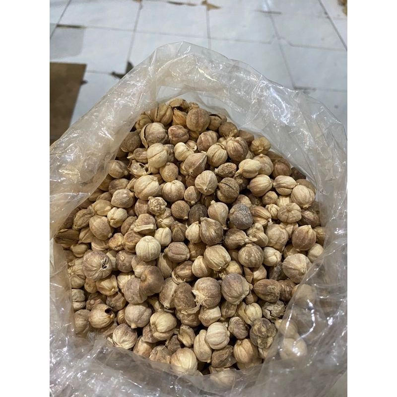 

Kapulaga A 250gr ~ 500gr / Kapulaga super bagus