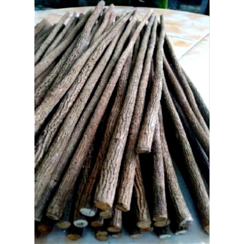 tangkringan pangkringan asem Jawa super sangkar murai grad  A