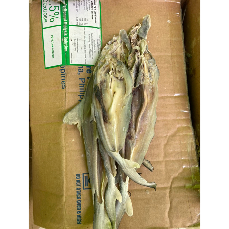 

ikan asin cucut belah utuh 100gr-250gr