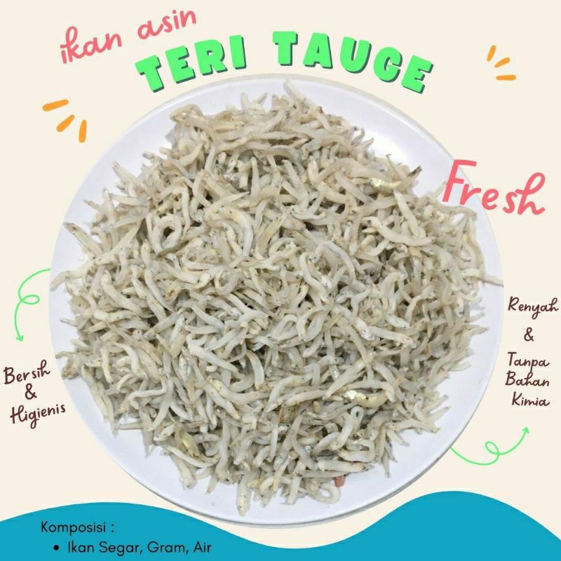 

Ikan Teri Tauge 10 Ribu Kualitas Super Premium