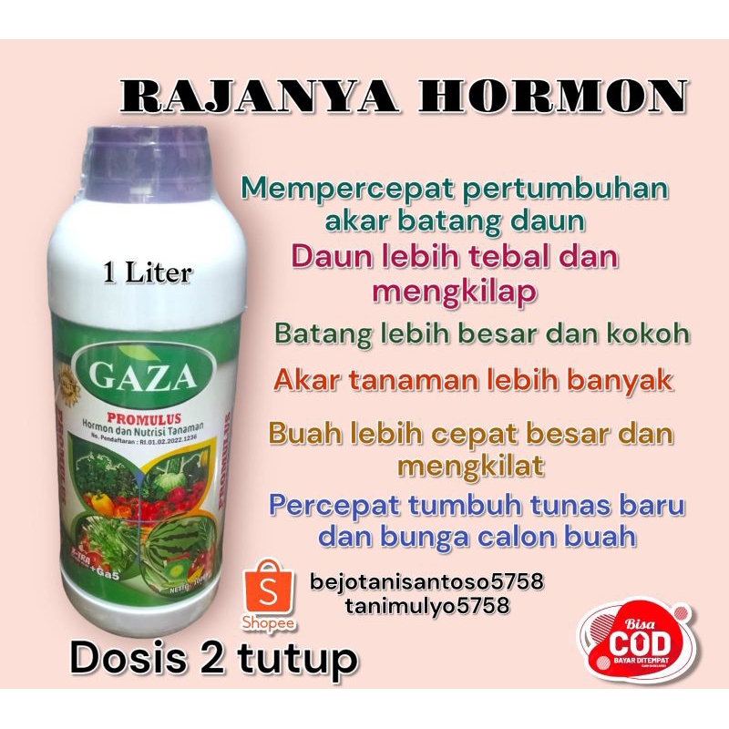 GAZA PROMULUS 1 Liter Rajanya Hormon Asam Amino Perimbun bunga dan buah tanaman pembesar buah dan um