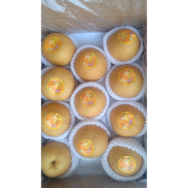 

pear singo korea (RRT)