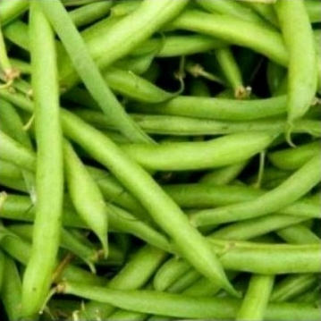 

Buncis Fresh 500gr