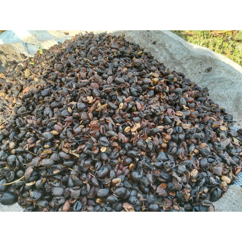 

Kulit buah kopi 1 kg kering(cascara)