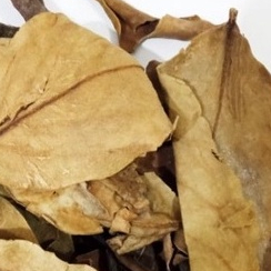 

TERMURAH JAMU DAUN BENALU KERING/MENDALU API- 500 GRAM