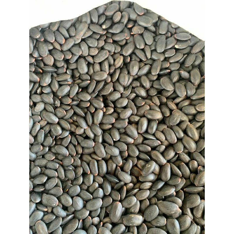 

Korzaln Biji Kedawung Kering 1Kg Biji Kedaung Kwalitas Bagus