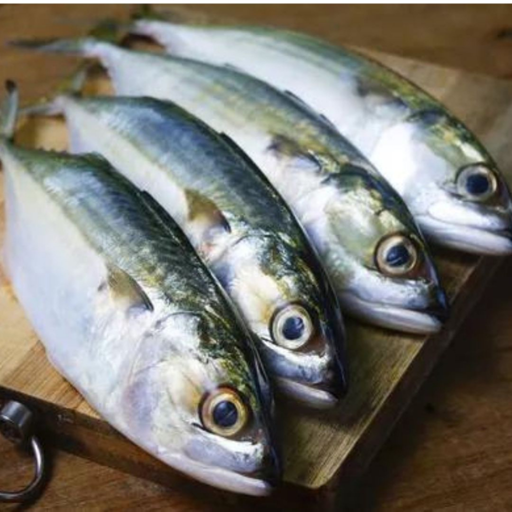 

Ikan Kembung/ Ikan kembung Banjar