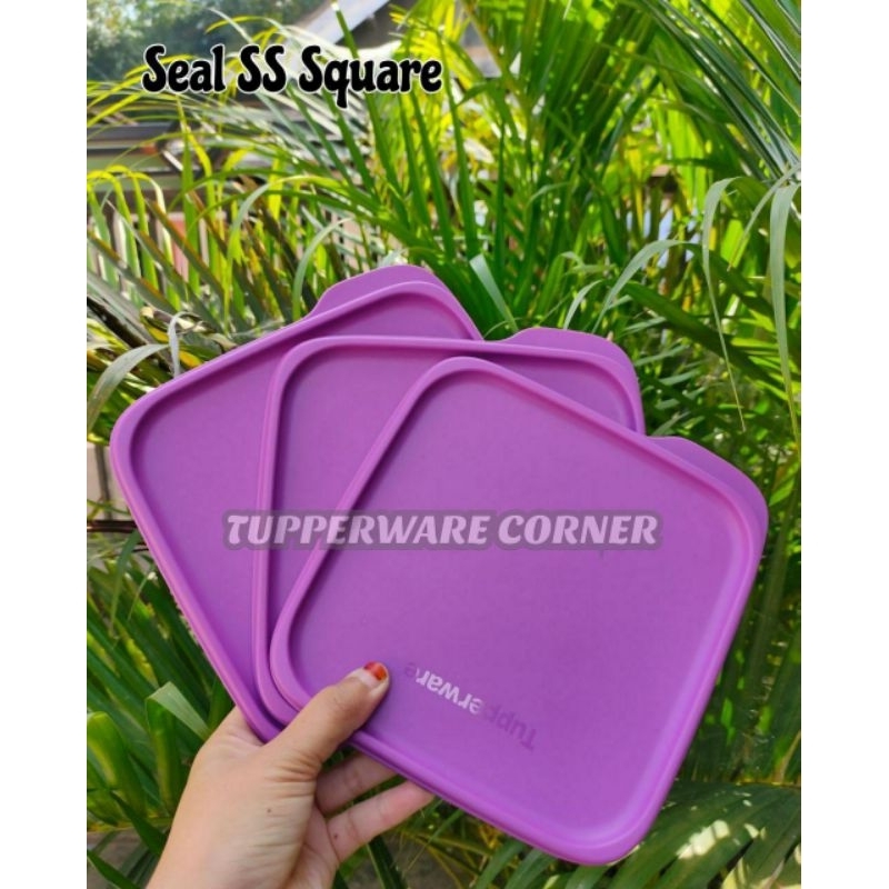 TUPPERWARE // Tutup SS Square