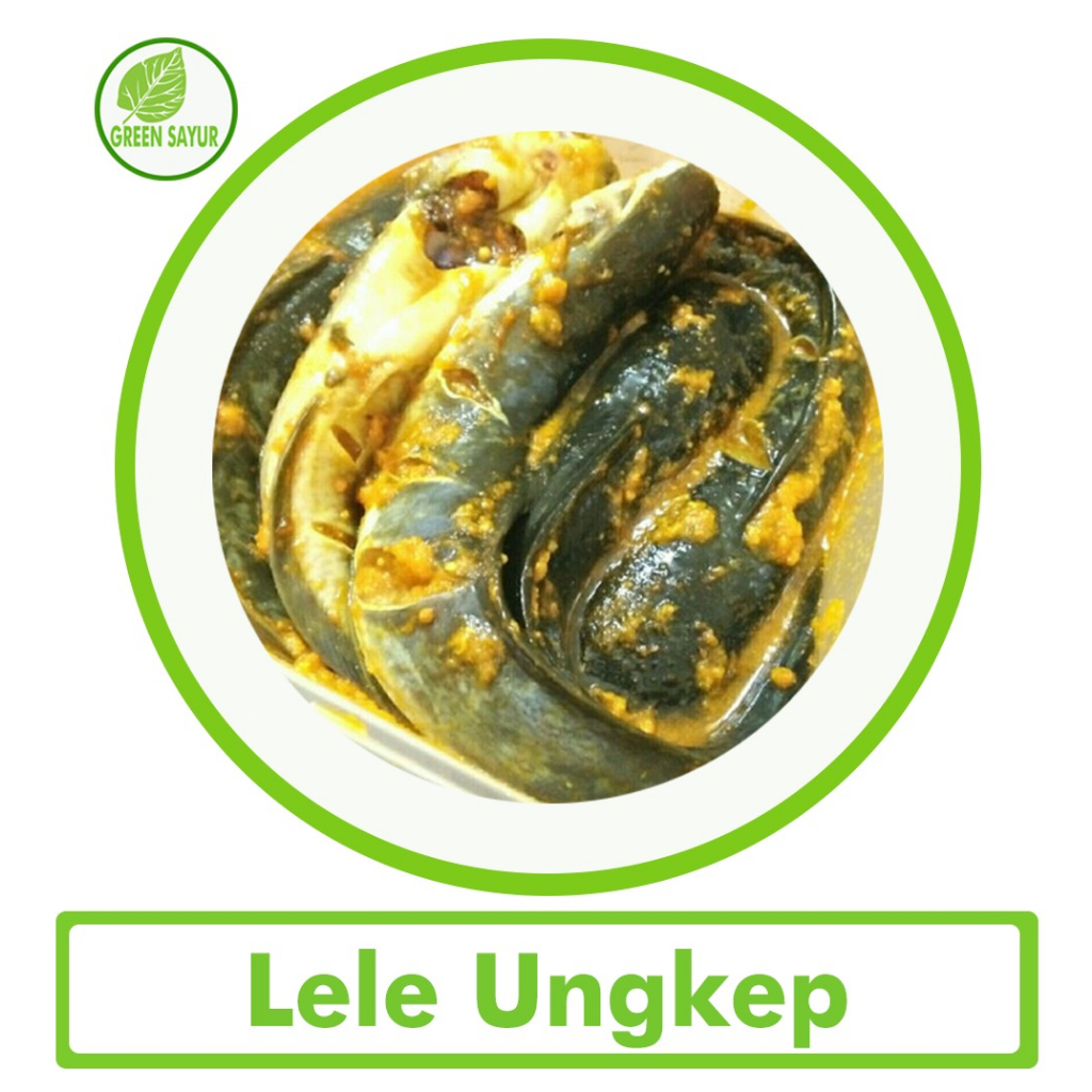 

Ikan Lele Bumbu Kuning