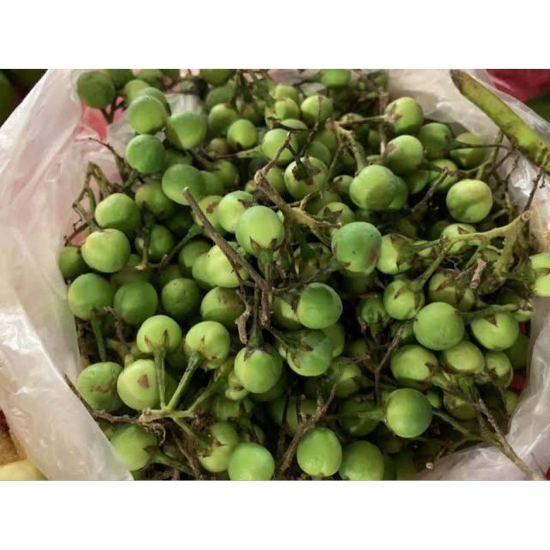 Rimbang 100gr