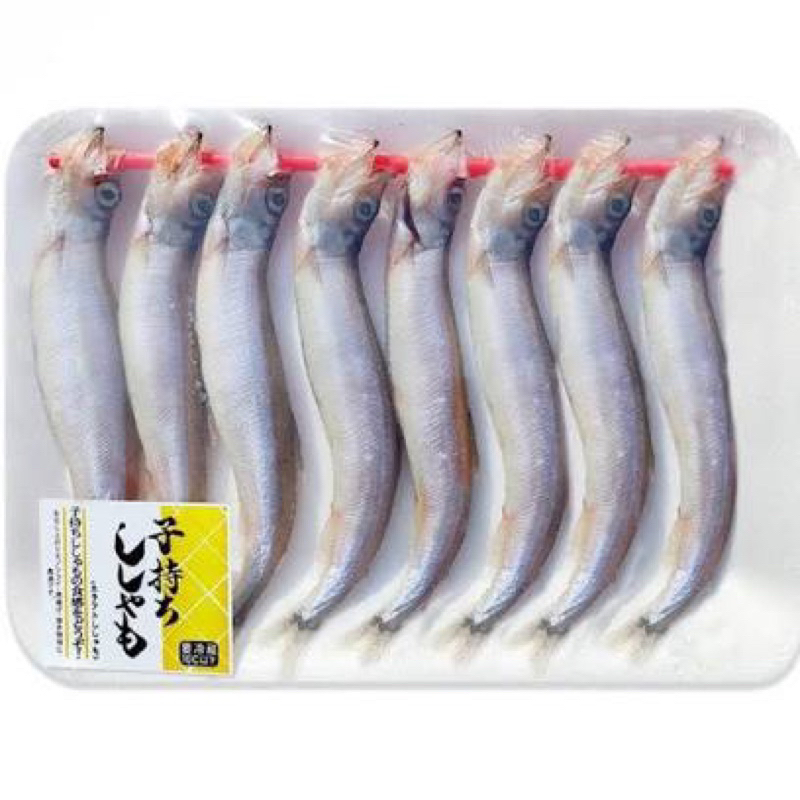 

ikan Shishamo Viral Kesukaan Cipung