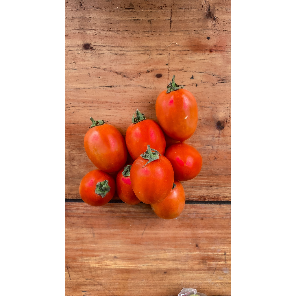 

tomat merah kecil