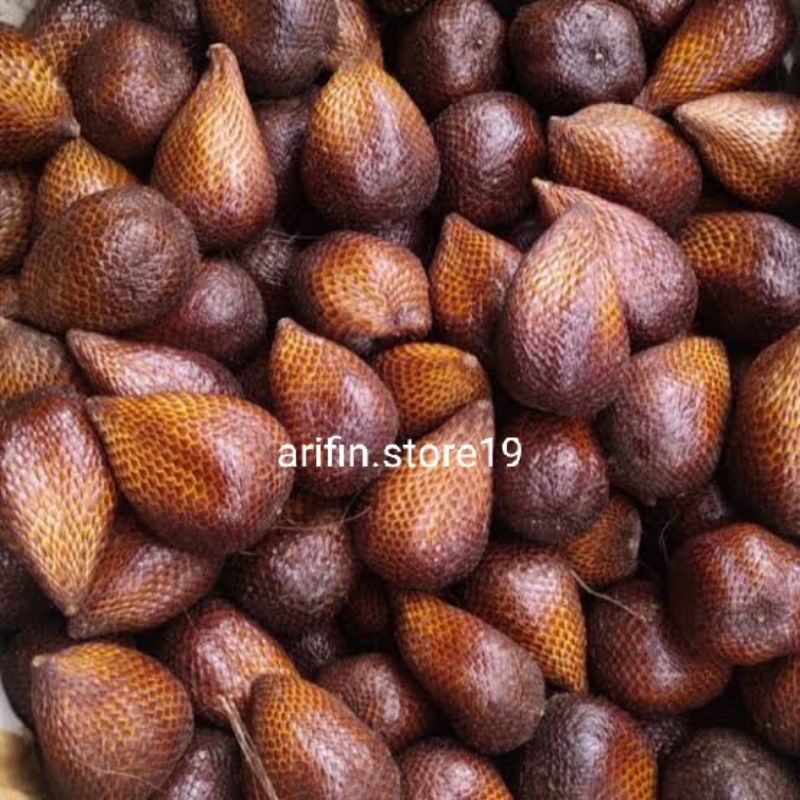 

Salak Pondoh Sleman Yogyakarta /Kilogram