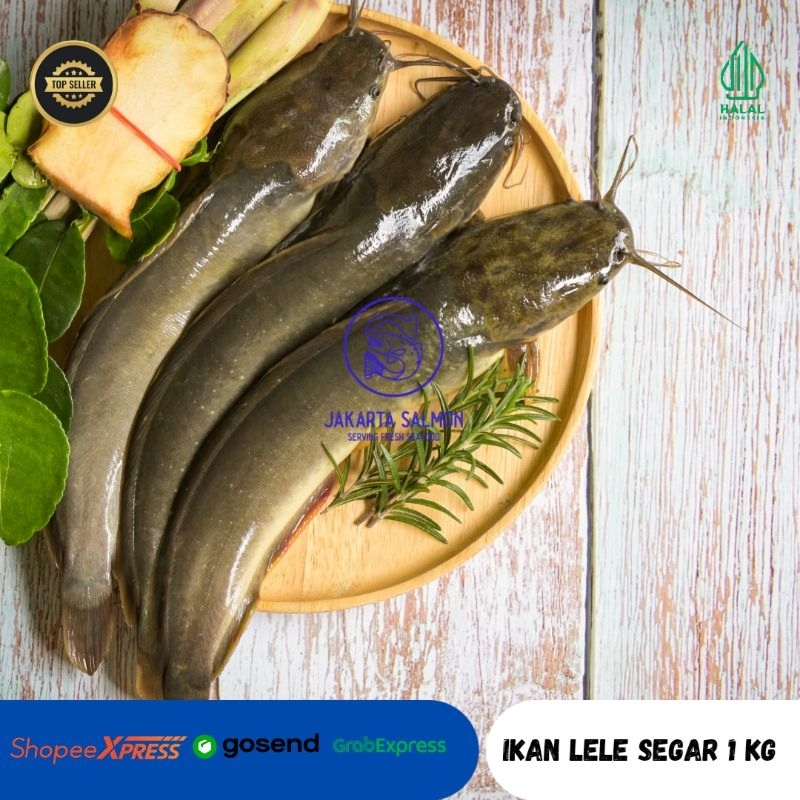 Ikan Lele/ Lele Segar/ Ikan Lele Segar 1 Kg