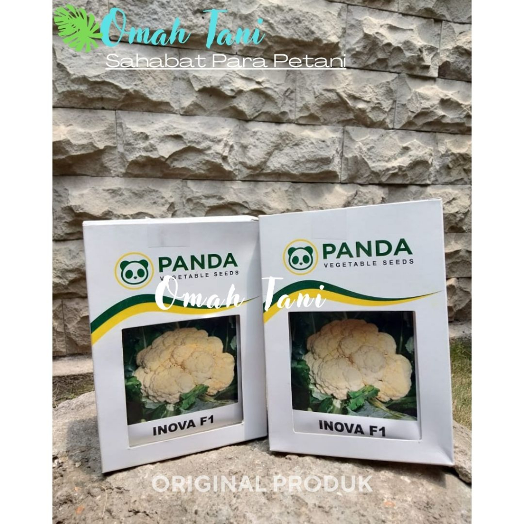 benih bunga kol INOVA F1( Tipe Bima) 10 gr