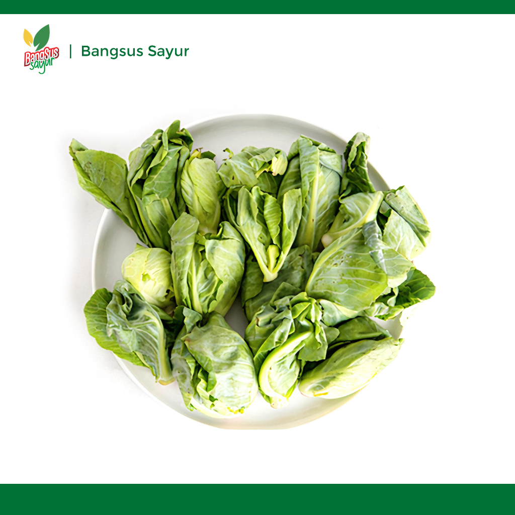 

Cuciwis 250Gr Segar Murah