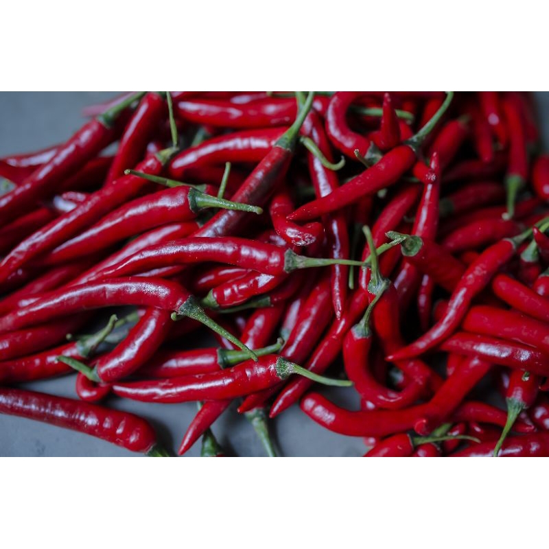 

CABAI BESAR berat 500 gram