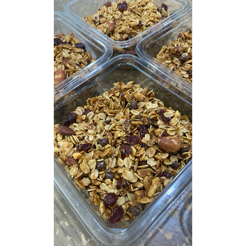 

Homemade Granola Almond Walnut Hazelnut Cranberry Chocochips