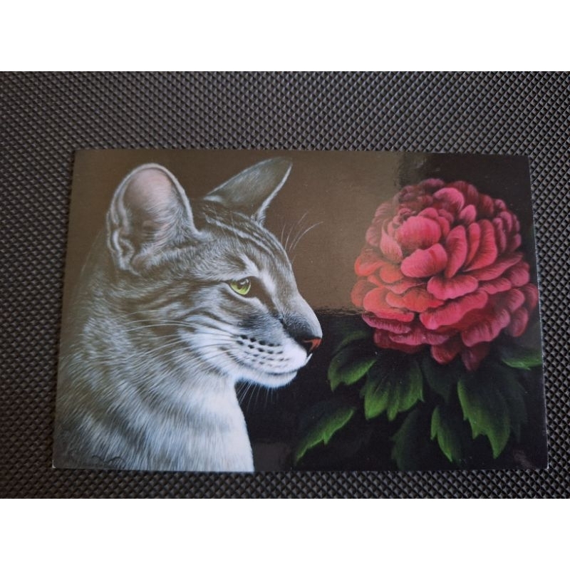 

kartu pos kucing/cat postcard