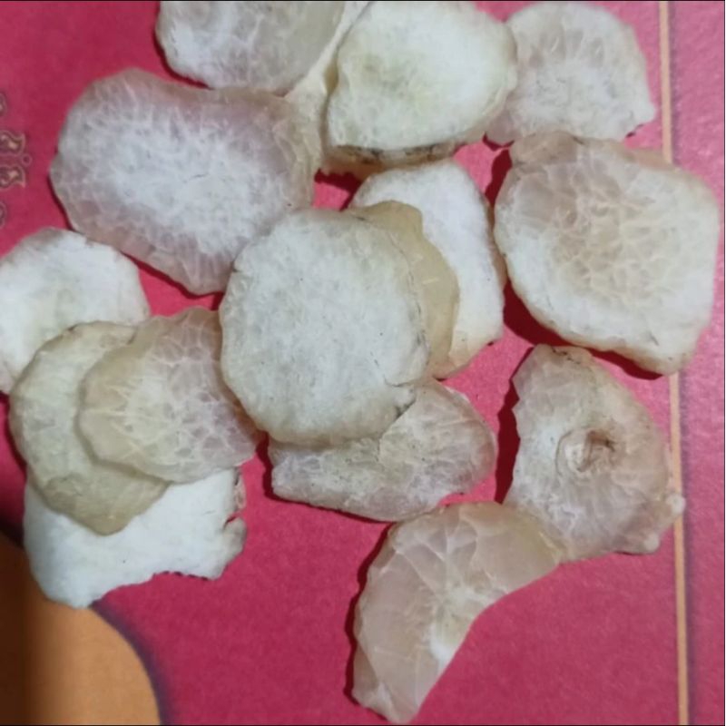 

300 G GR GRAM 天南星 TIAN NAN XING ARISAEMA HETEROPHYLLUM