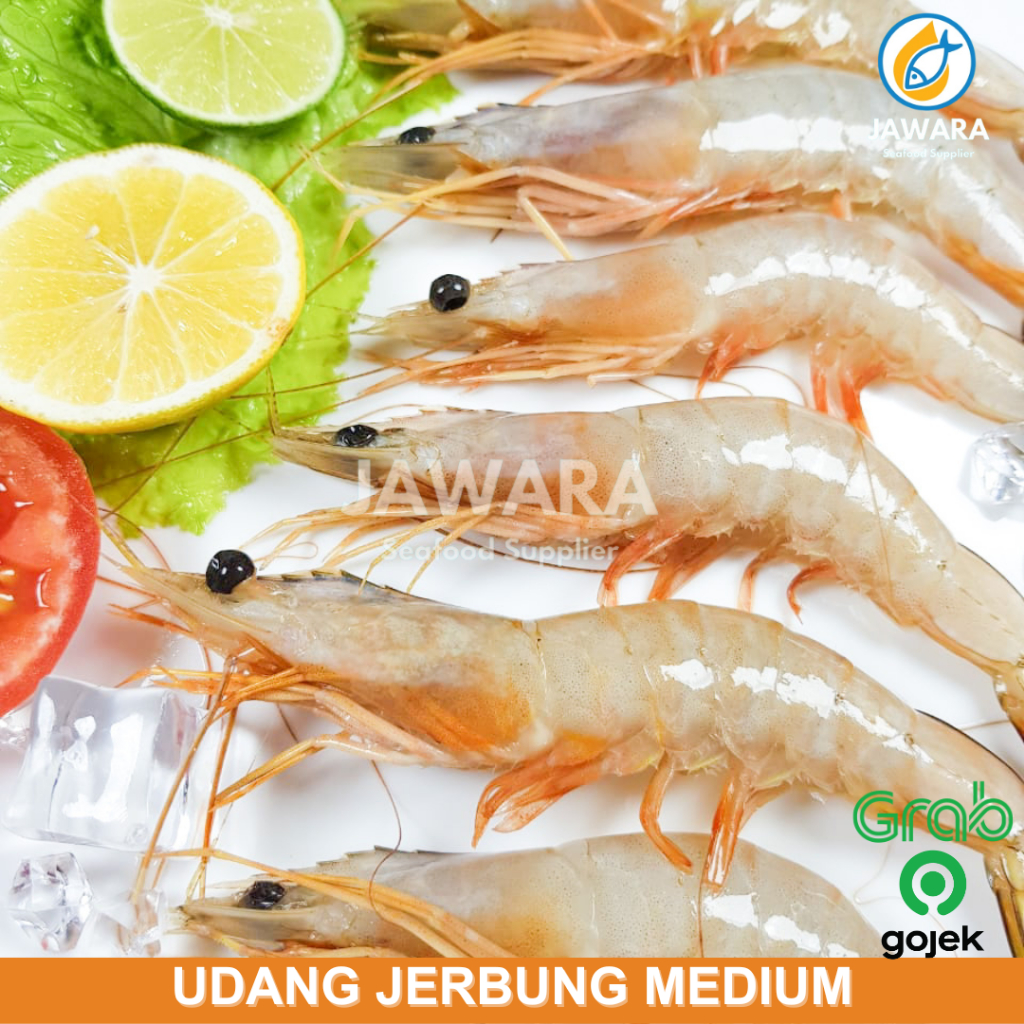 

Promo Udang Jerbung Laut | Fresh Frozen | Size sedang besar | 500 gr, 1 kg