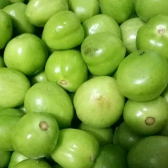 

tomat hijau 500gram