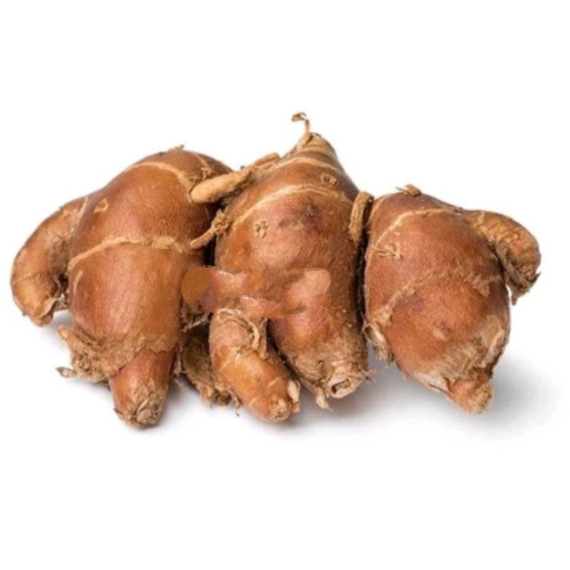 

Kencur 100gr